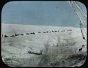 Image of Sledges, A Long Line, North Pole Expedition
